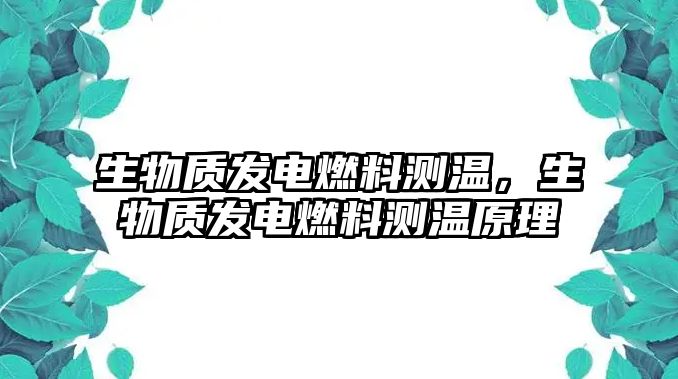 生物質(zhì)發(fā)電燃料測(cè)溫，生物質(zhì)發(fā)電燃料測(cè)溫原理