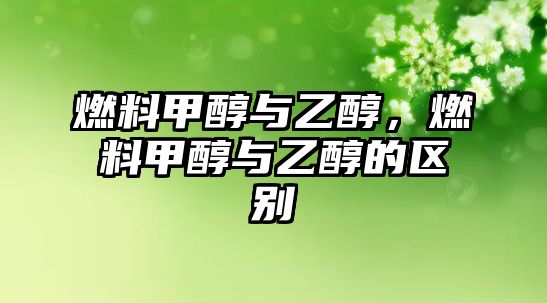 燃料甲醇與乙醇，燃料甲醇與乙醇的區(qū)別