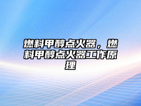 燃料甲醇點火器，燃料甲醇點火器工作原理