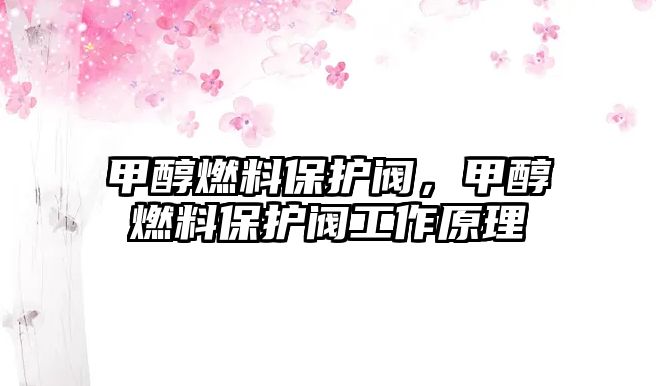 甲醇燃料保護(hù)閥，甲醇燃料保護(hù)閥工作原理