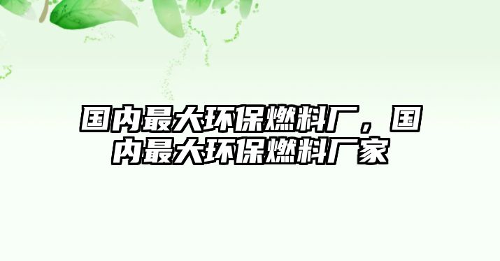 國內(nèi)最大環(huán)保燃料廠，國內(nèi)最大環(huán)保燃料廠家