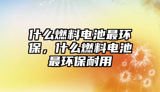 什么燃料電池最環(huán)保，什么燃料電池最環(huán)保耐用