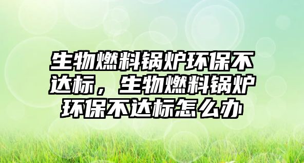 生物燃料鍋爐環(huán)保不達(dá)標(biāo)，生物燃料鍋爐環(huán)保不達(dá)標(biāo)怎么辦