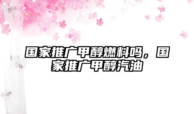 國(guó)家推廣甲醇燃料嗎，國(guó)家推廣甲醇汽油