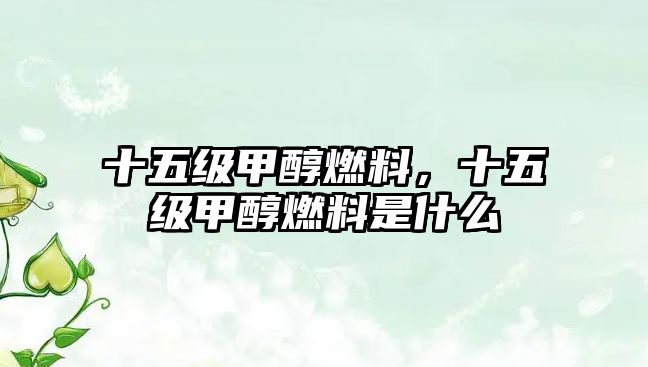 十五級(jí)甲醇燃料，十五級(jí)甲醇燃料是什么