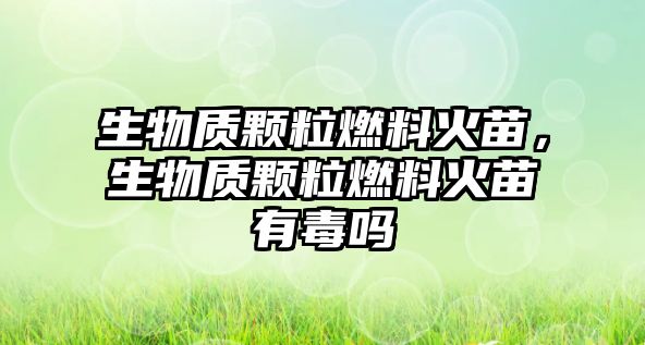 生物質(zhì)顆粒燃料火苗，生物質(zhì)顆粒燃料火苗有毒嗎