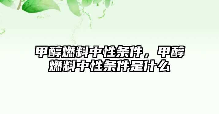 甲醇燃料中性條件，甲醇燃料中性條件是什么