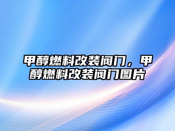 甲醇燃料改裝閥門，甲醇燃料改裝閥門圖片