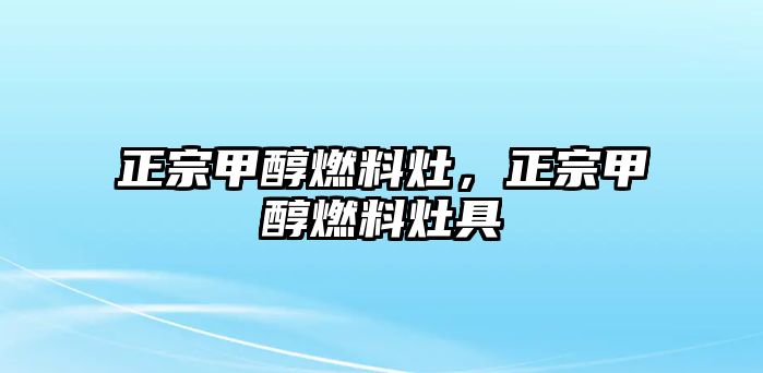 正宗甲醇燃料灶，正宗甲醇燃料灶具