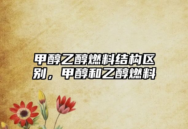 甲醇乙醇燃料結(jié)構(gòu)區(qū)別，甲醇和乙醇燃料