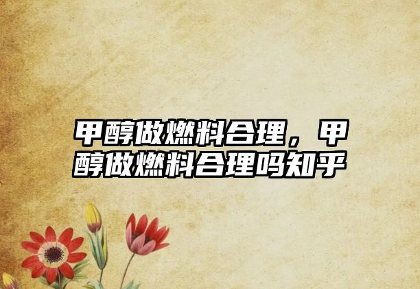 甲醇做燃料合理，甲醇做燃料合理嗎知乎