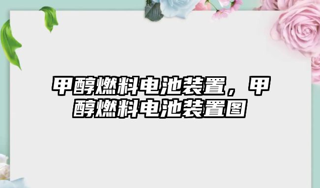 甲醇燃料電池裝置，甲醇燃料電池裝置圖