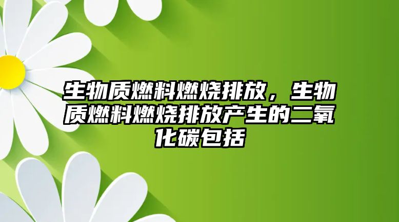 生物質(zhì)燃料燃燒排放，生物質(zhì)燃料燃燒排放產(chǎn)生的二氧化碳包括