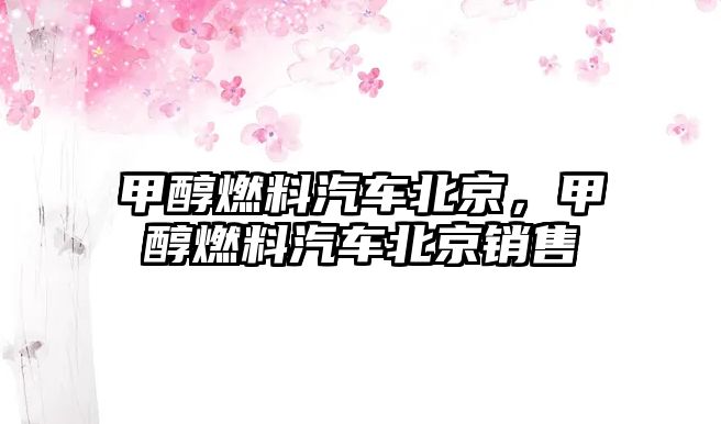 甲醇燃料汽車北京，甲醇燃料汽車北京銷售