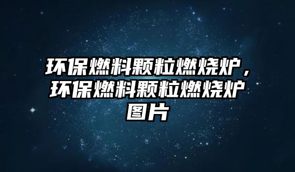 環(huán)保燃料顆粒燃燒爐，環(huán)保燃料顆粒燃燒爐圖片