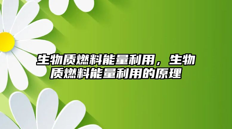 生物質燃料能量利用，生物質燃料能量利用的原理