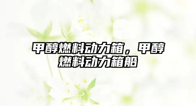 甲醇燃料動(dòng)力箱，甲醇燃料動(dòng)力箱船