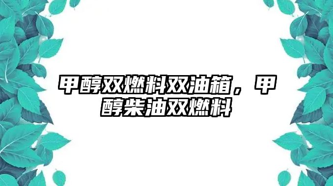 甲醇雙燃料雙油箱，甲醇柴油雙燃料