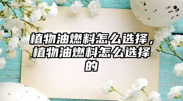 植物油燃料怎么選擇，植物油燃料怎么選擇的