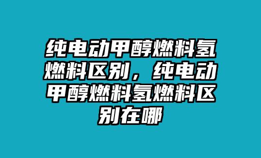 純電動(dòng)甲醇燃料氫燃料區(qū)別，純電動(dòng)甲醇燃料氫燃料區(qū)別在哪