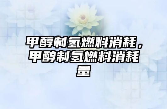 甲醇制氫燃料消耗，甲醇制氫燃料消耗量