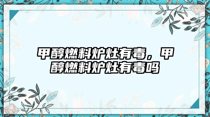 甲醇燃料爐灶有毒，甲醇燃料爐灶有毒嗎