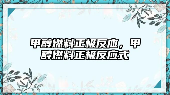 甲醇燃料正極反應(yīng)，甲醇燃料正極反應(yīng)式