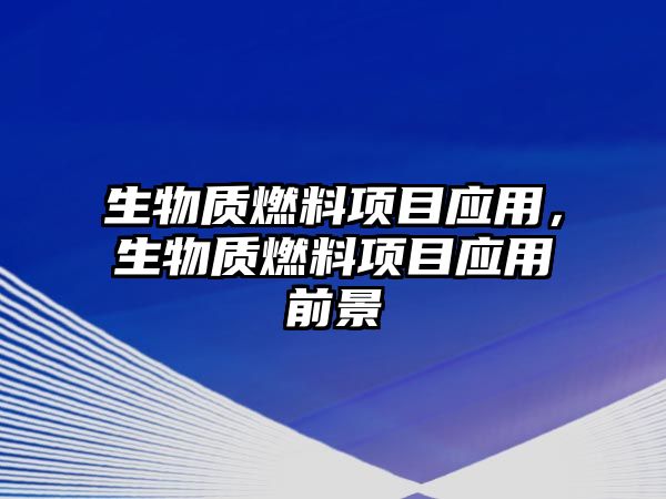 生物質(zhì)燃料項(xiàng)目應(yīng)用，生物質(zhì)燃料項(xiàng)目應(yīng)用前景