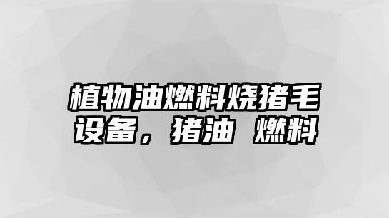 植物油燃料燒豬毛設(shè)備，豬油 燃料