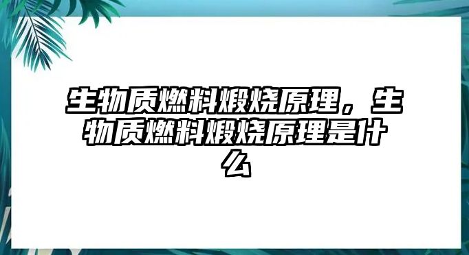 生物質(zhì)燃料煅燒原理，生物質(zhì)燃料煅燒原理是什么