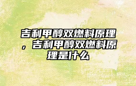 吉利甲醇雙燃料原理，吉利甲醇雙燃料原理是什么