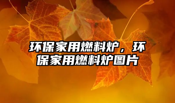 環(huán)保家用燃料爐，環(huán)保家用燃料爐圖片