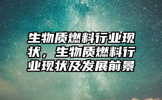 生物質(zhì)燃料行業(yè)現(xiàn)狀，生物質(zhì)燃料行業(yè)現(xiàn)狀及發(fā)展前景