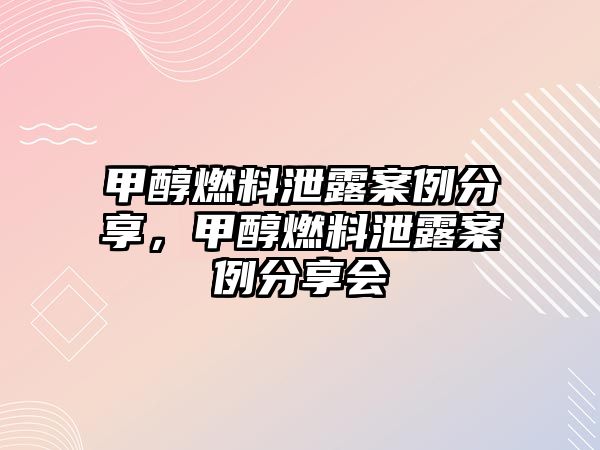 甲醇燃料泄露案例分享，甲醇燃料泄露案例分享會