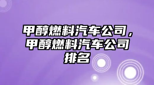 甲醇燃料汽車公司，甲醇燃料汽車公司排名