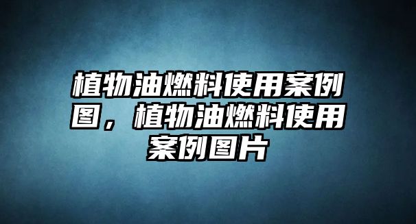 植物油燃料使用案例圖，植物油燃料使用案例圖片