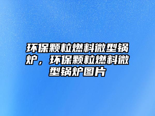 環(huán)保顆粒燃料微型鍋爐，環(huán)保顆粒燃料微型鍋爐圖片