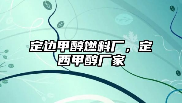 定邊甲醇燃料廠，定西甲醇廠家