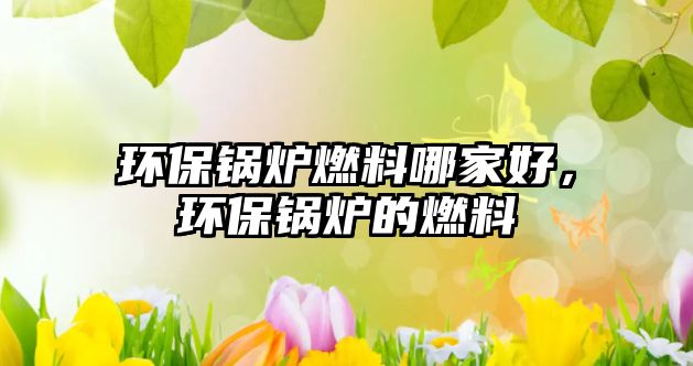 環(huán)保鍋爐燃料哪家好，環(huán)保鍋爐的燃料