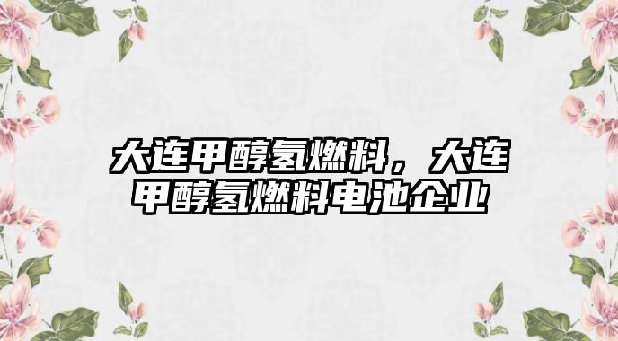 大連甲醇?xì)淙剂希筮B甲醇?xì)淙剂想姵仄髽I(yè)