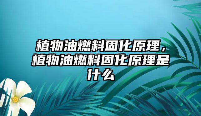 植物油燃料固化原理，植物油燃料固化原理是什么