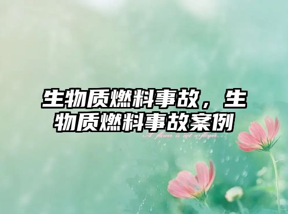 生物質(zhì)燃料事故，生物質(zhì)燃料事故案例