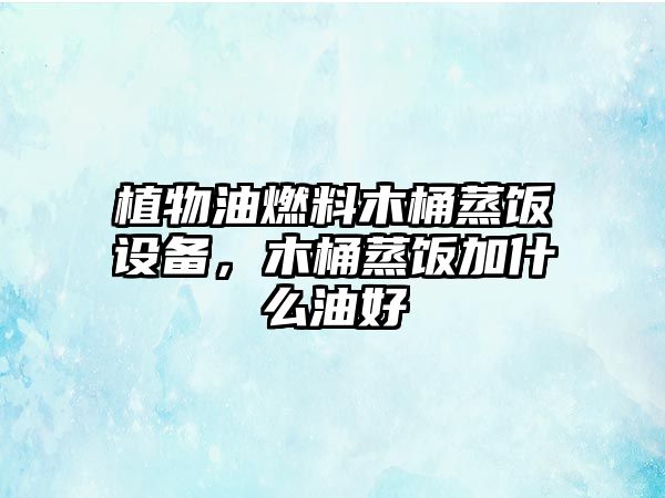 植物油燃料木桶蒸飯設(shè)備，木桶蒸飯加什么油好