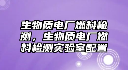 生物質電廠燃料檢測，生物質電廠燃料檢測實驗室配置