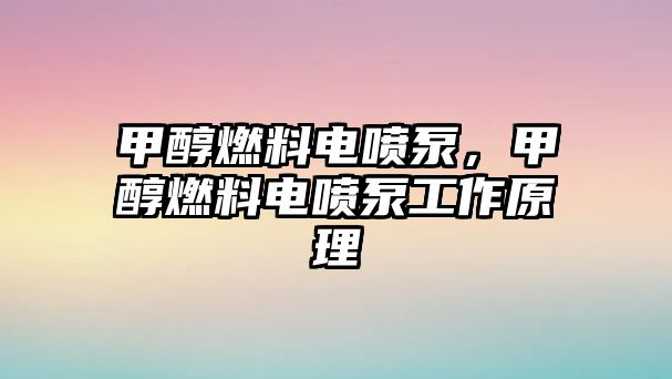 甲醇燃料電噴泵，甲醇燃料電噴泵工作原理