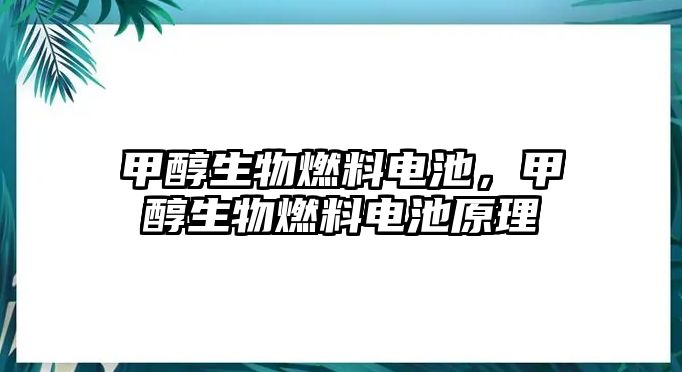 甲醇生物燃料電池，甲醇生物燃料電池原理