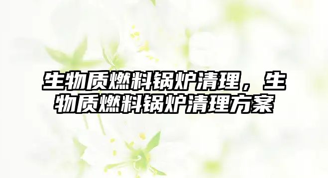 生物質(zhì)燃料鍋爐清理，生物質(zhì)燃料鍋爐清理方案