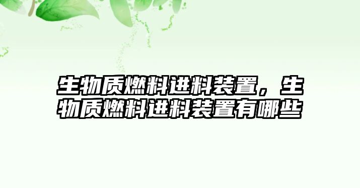 生物質(zhì)燃料進(jìn)料裝置，生物質(zhì)燃料進(jìn)料裝置有哪些