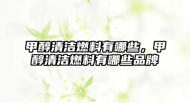 甲醇清潔燃料有哪些，甲醇清潔燃料有哪些品牌