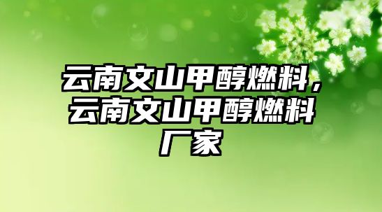 云南文山甲醇燃料，云南文山甲醇燃料廠家